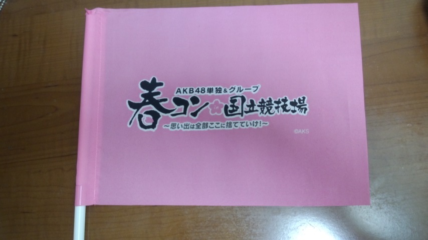 AKB48単独 春コン in 国立競技場～思い出は全部ここに捨てていけ！～